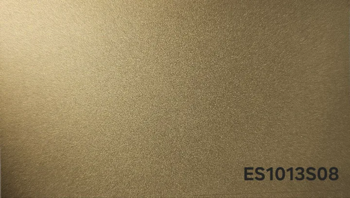 ES1013 s08