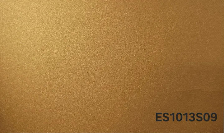 ES1013 s09